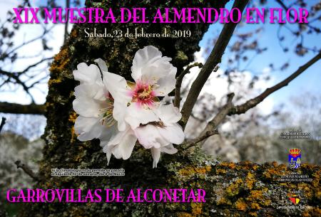 Imagen XIX Muestra Almendro en Flor